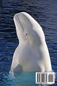 The Beluga White Whale Journal: 150 page lined notebook/diary