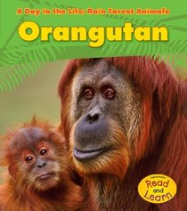 Orangutan (Heinemann Read and Learn)