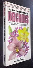 AN ILLUSTRATED GUIDE TO GROWING YOUR OWN ORCHIDS