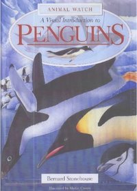 A Visual Introduction to Penguins (Animal Watch)