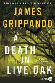 A Death in Live Oak (Jack Swyteck, Bk 14) (Larger Print)