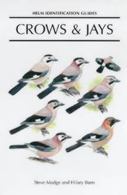 Helm Identification Guides: Crows and Jays (Helm Identification Guides)