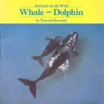 Whale and Dolphin (Animals in the Wild Series)