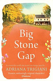 Big Stone Gap (Big Stone Gap, Bk 1)