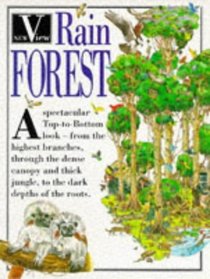Rainforest (New View)