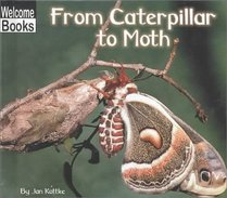 From Caterpillar to Moth (How Things Grow)