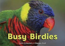 Busy Birdies (A Busy Book)