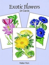 Exotic Flowers: 24 Cards (Card Books)