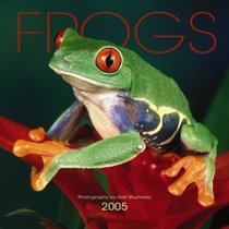 Frogs 2005 Mini Wall Calendar