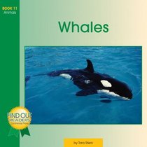 Find Out Reader: Whales