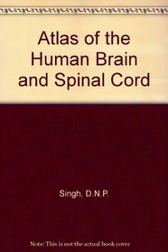 Atlas of the Human Brain  Spinal Cord
