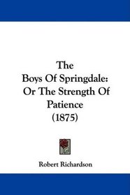 The Boys Of Springdale: Or The Strength Of Patience (1875)