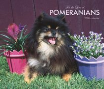 Pomeranians, For the Love of 2008 Deluxe Wall Calendar