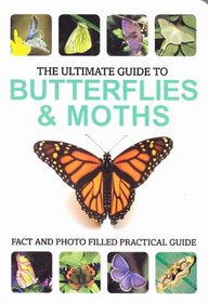 The Ultimate Guide to Butterflies & Moths