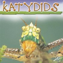 Katydids (Cooper, Jason, Insects Discovery Library)