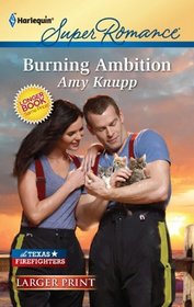 Burning Ambition (Harlequin Superromance, No 1702) (Larger Print)