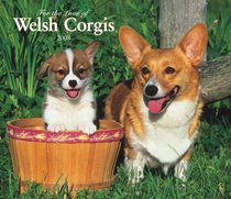 Welsh Corgis, For the Love of 2008 Deluxe Wall Calendar (German, French, Spanish and English Edition)