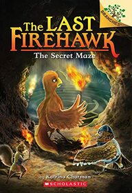 The Secret Maze: A Branches Book (The Last Firehawk #10) (10)