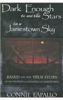 Dark Enough to See the Stars in a Jamestown Sky