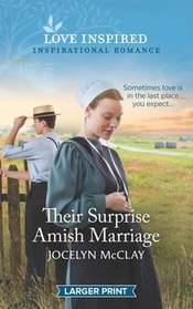 Their Surprise Amish Marriage (Love Inspired, No 1364) (Larger Print)