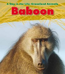 Baboon (Heinemann Read and Learn)