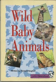 Wild Baby Animals (Celebrations)