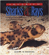 Aquarium Sharks  Rays: An Essential Guide to Their Selection, Keeping, and Natural History