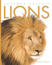 Lions (Amazing Animals)