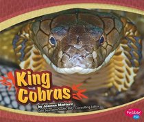 King Cobras (Asian Animals) (Pebble Plus: Asian Animals)