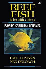 Reef Fish Identification - Florida Caribbean Bahamas - 4th Edition (Reef Set)