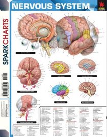 Nervous System (SparkCharts) (SparkCharts)