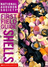 Shells (National Audubon Society First Field Guide)