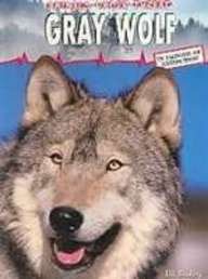 Gray Wolf (Animals Under Threat)