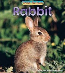 Rabbit (Wild Britain: Animals)
