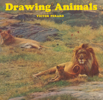 Drawing Animals