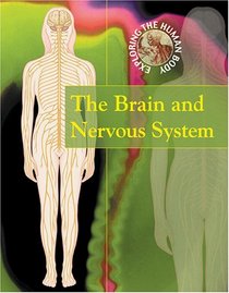 The Brain and Nervous System (Exploring the Human Body)