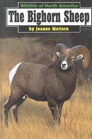 The Bighorn Sheep (Wildlife of North America)