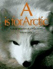 A is for Arctic: Natural Wonders of a Polar World