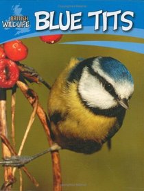 Blue Tits (British Wildlife)