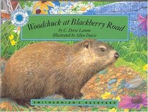 Woodchuck at Blackberry Road (Smithsonian's Backyard)