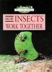 How Insects Work Together (Living World S.)
