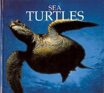 Sea Turtles (Naturebooks Underwater Life)