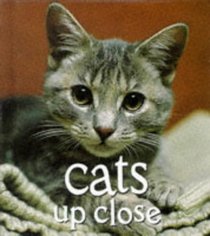 Cats Up Close (Tiny Folios Series)