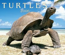 Turtles 2006