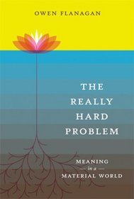 The Really Hard Problem: Meaning in a Material World (Bradford Books)