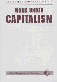 Work Under Capitalism (New Perspectives in Sociology)