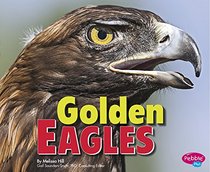 Golden Eagles (Birds of Prey)