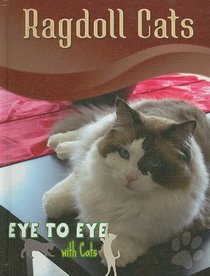 Ragdoll Cats (Eye to Eye With Cats)