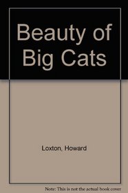 Beauty of Big Cats