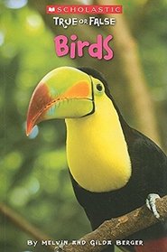 Now I Know Birds